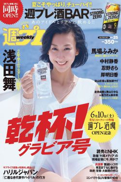 盛妆山河